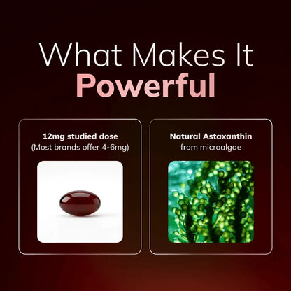 Rovinalife Astaxanthin - Nature's Most Powerful Antioxidant for Whole Body Support & Cellular Protection